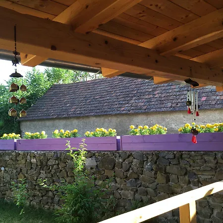 Affittacamere Sadhana Yoga Retreat Centre Vindornyalak